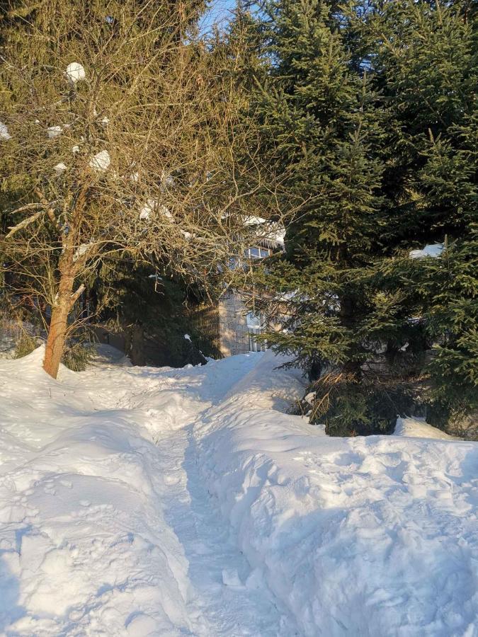 Holiday Home In Harrachov 2311 מראה חיצוני תמונה